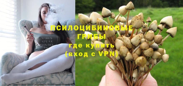 2c-b Богданович