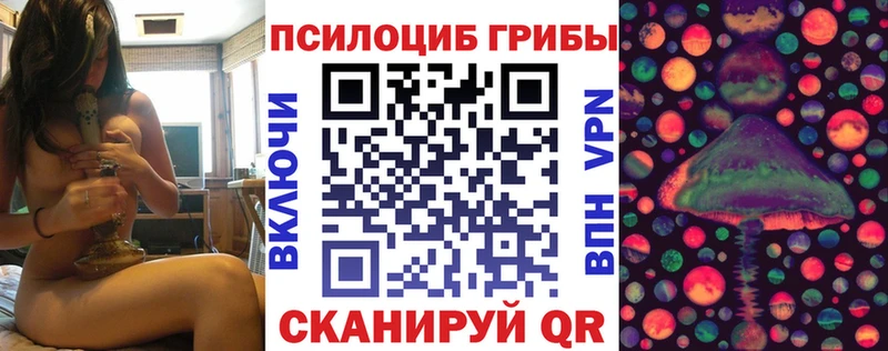 Галлюциногенные грибы Psilocybe  купить наркотик  Шумиха 